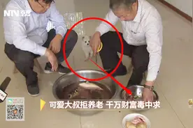 猝不及防一幕：巨毒河豚鱼子突被小狗吃掉，紧急灌肥皂水能解毒吗视频封面