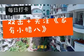 带你走进闽北传说中的“小香港”让我们一起去感受它的精致与精美视频封面