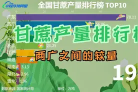 全国甘蔗产量排行榜，两广之间的较量视频封面