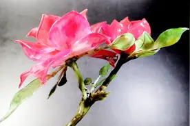 原创教程！神秘材料和热缩片一起做仿真度贼高的立体花