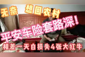 平安车险套路深！相差一天白损失好几百块，唉还是我们大农村好呀