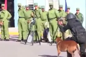 这才真的是人模狗样的