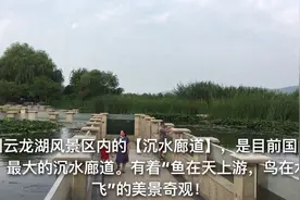 徐州云龙湖【沉水廊道】，有着“鱼在天上游，鸟在水中飞”的奇观视频封面