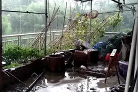浙江金华市台风暴雨，电闪雷鸣 太吓人了，房顶东西都吹上天了