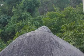 爬山遇到阿伯，带我们去看他的神秘发现，钻进石缝内部另有洞天！视频封面
