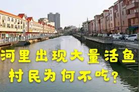 东江水面出现大量河鱼，村民无一人去捞，为什么河里的鱼不能吃？视频封面