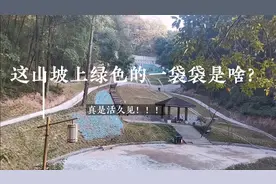 太舒服福建山区空气真清新，应该是全国最好的！知道这是哪里吗？