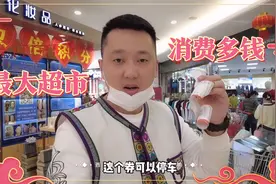 西双版纳满大街东北人，超市物价堪比白菜价，买一车年货你猜多钱视频封面