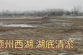 实拍阜阳颍州西湖，湖底清淤施工现场。视频封面