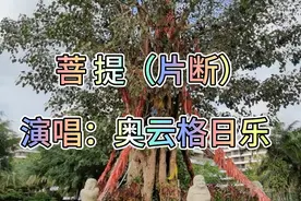 海南文昌逸龙湾，有株300年树龄的古菩提树，价值500万！视频封面