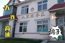 大连高速之九里服务区，出市G15第一个休息站，还有个鸽子窝视频封面