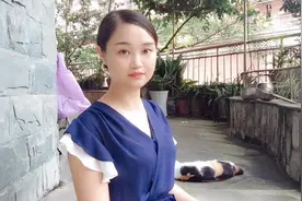 青青家的三花猫生了一只灰色狸花猫，大家猜猜猫爸是什么猫？