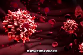 全网最全的新冠病毒科普