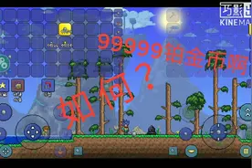 泰拉瑞亚攻略 修改物品 数量 作弊 详细教学。