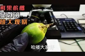 新鲜的槟榔显微镜放大1200倍是什么样的体验你没见过的全新版本视频封面