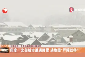 天寒地冻！印度北部城市遭遇降雪，动物园“严阵以待”视频封面