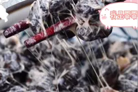 全身都是宝的纳豆自己做起来，每天都要喝的酸奶自己做起来！视频封面