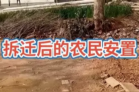 拆迁后的三合村。视频封面