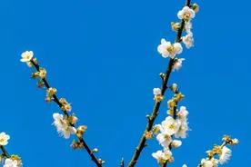 12小时联唱流行歌曲排行榜⚡2020最新劲爆DJ舞曲串烧版:🎶🎬