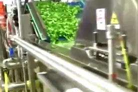 全自动洗菜切菜机器，非常节约人力视频封面