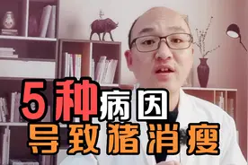 猪吃食消瘦怎么办？最常见有5种原因，对症治疗又得一头大肥猪视频封面