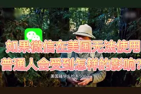 如果微信在美国无法使用，普通人的生活会受到怎样的影响？视频封面