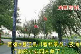 十一回家：湛江吴川景点极浦亭门前的极浦公园太美了。视频封面