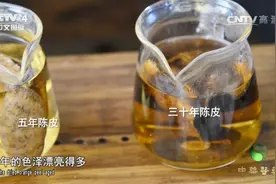 陈皮陈放时间越久，药效越好，如何辨别陈皮的新旧呢？快来看看视频封面