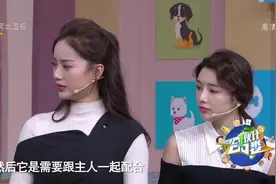 哈士奇不认主人？专家：错了！哈士奇最认主人，家中地位很重要视频封面