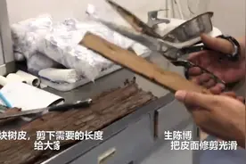 50年前的杉树皮变身土味小夹板，“绝版”疗法为八旬婆婆成功接骨视频封面