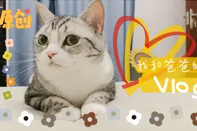 我这么漂亮的小猫，我爸竟然说我不洗澡身上都咸了！#毕业#视频封面