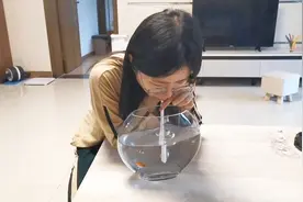 金鱼缺氧相继离世，聪明媳妇想出加氧妙招，给鱼儿们做人工呼吸