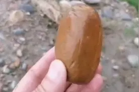 亦花亦叶岷江堤坝上捡石头视频封面