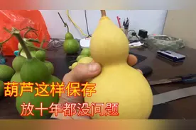 新摘的葫芦这样处理，放10年都没问题，去皮很是关键