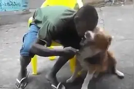 千万别这样强行和大狗合影，狗子会生气，后果很严重……视频封面