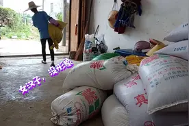 人家都说孕妇不能提太重东西，水手姐也是尽量而已视频封面