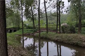 山东江苏交界处的农村对比一下，一路之隔，差别是显而易见的！视频封面