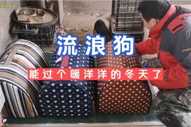 给流浪狗拿狗窝回来途中电车没电了，只能推回来 大风呼呼吹成狗