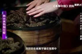 一方水土一方药——熟地黄炮制过程视频封面