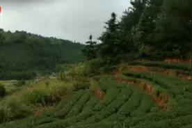 这里是广东粤北连山壮族瑶族自治县，最偏僻的禾洞小镇