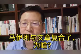 马伊琍与文章可能复合了，怎么看？视频封面