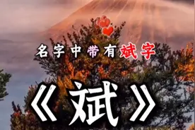 姓名中带《斌》字的人视频封面