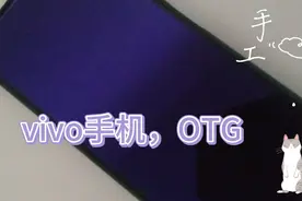 vivo 手机插入u盘 查看文件视频封面
