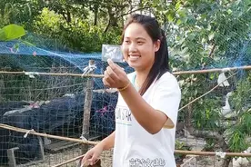 燕子9.9元买5棵巨型南瓜种，单个可达1000斤，大家看这是真的吗视频封面