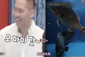 韩国一条鳗鱼就要10万多块钱，折合人民币多少钱？绝对土豪的美食视频封面