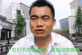 你是不是很苦恼自己店的生意不好？教你一招，可以干掉竟争对手视频封面