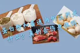 继续分享一下蛋白粉到底和肉类的蛋白质有无区别？