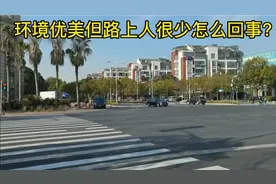 实拍宝山区美兰湖，这里环境优美但路上人很少，这是怎么回事？