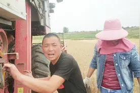 河南开始收割小麦，一台收割机一天能挣多少钱？大哥终于说出实话视频封面