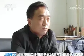 雾炮还是“嘴炮”？记者调查一周没见一次洒水：负责人这样解释视频封面